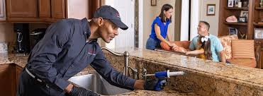 Best Termite Inspection and Treatment  in Waxahachie, TX